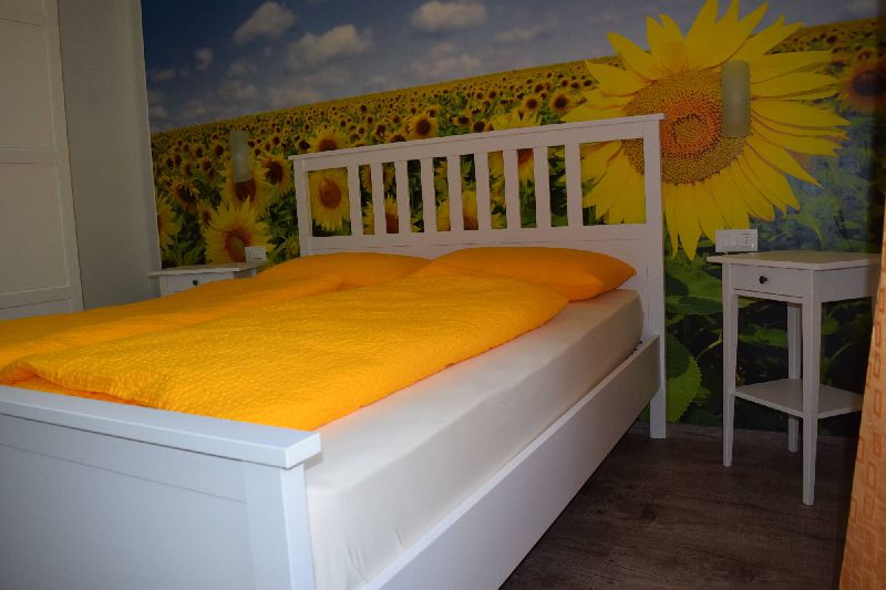 Girasole 8